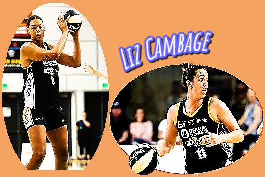 Two images of Liz Cambage, Melbourne Boomers with ball in 2017 WNBL season.