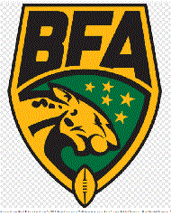 Logo for the Brasil Futbol Americanoo.