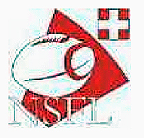 NSFL logo.